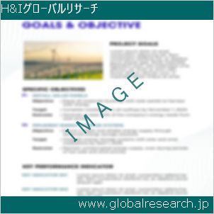 グローバルリサーチ調査レポートのイメージ
